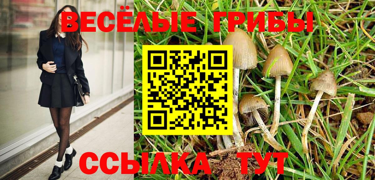 Псилоцибиновые грибы Cubensis  Псилоцибиновые грибы Psilocybine cubensis  Топки  Вход с VPN 
